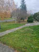 featured image of 10617 Westwood Dr Sw