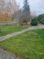 10617 Westwood Dr SW - Photo 1 of 1
