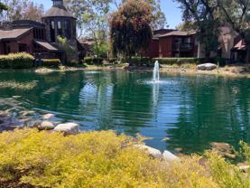 1101 Summertime Ln - Photo 1 of 1