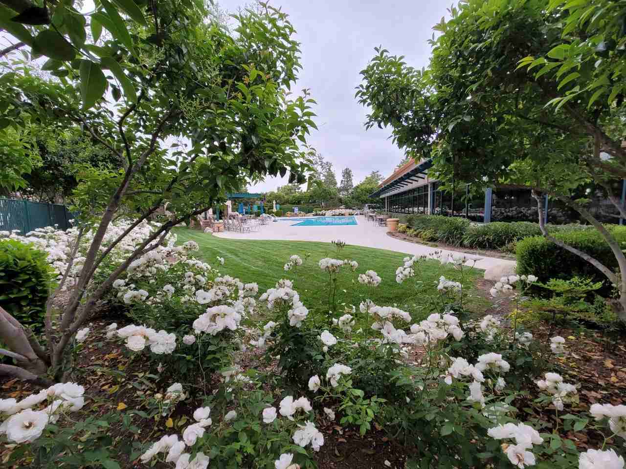 1155 Saguaro Rd - Photo 3 of 20