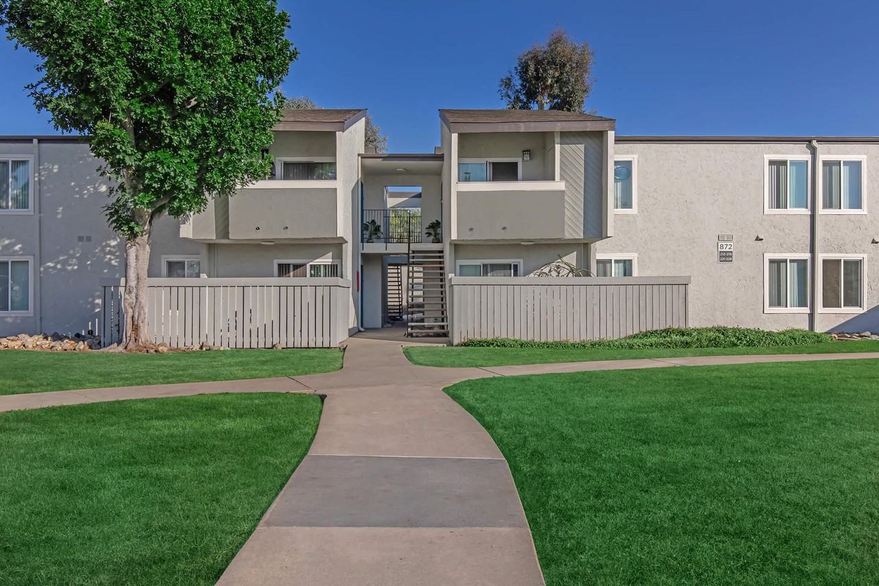 Plum Tree - Photo 4 of 50