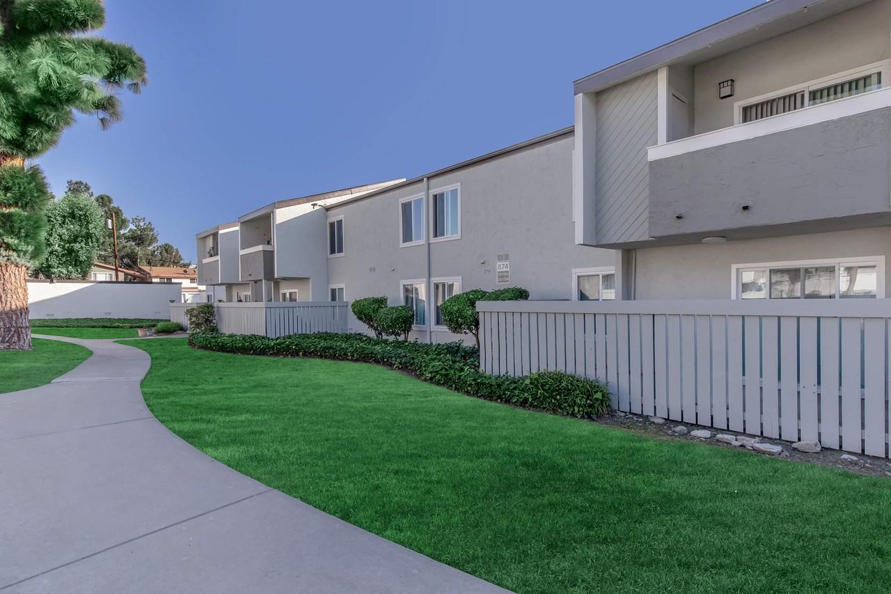 Plum Tree - Photo 7 of 50