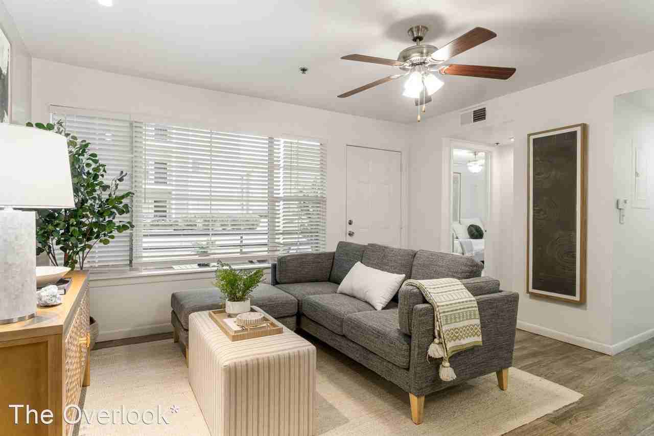 Overlook Luxury Apartments - Photo 4 of 50