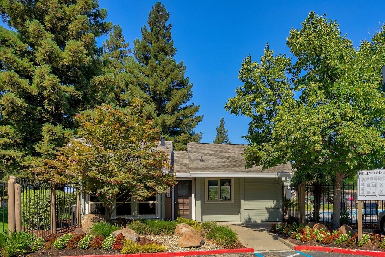 Bellwood - Photo 5 of 15