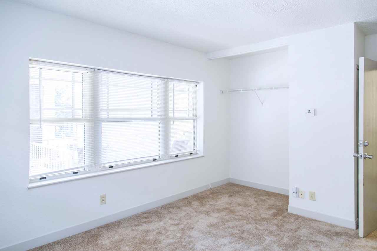 Alexander - Photo 7 of 18