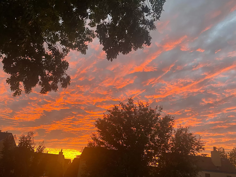 8144 Ventana Cielo Ave Nw - Photo 2 of 11