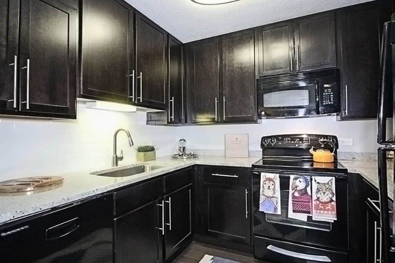 680 N Dearborn St - Photo 4 of 18