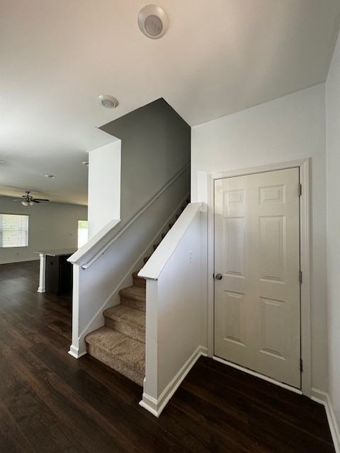 240 Chelsea Park Rd #1 - Photo 2 of 48