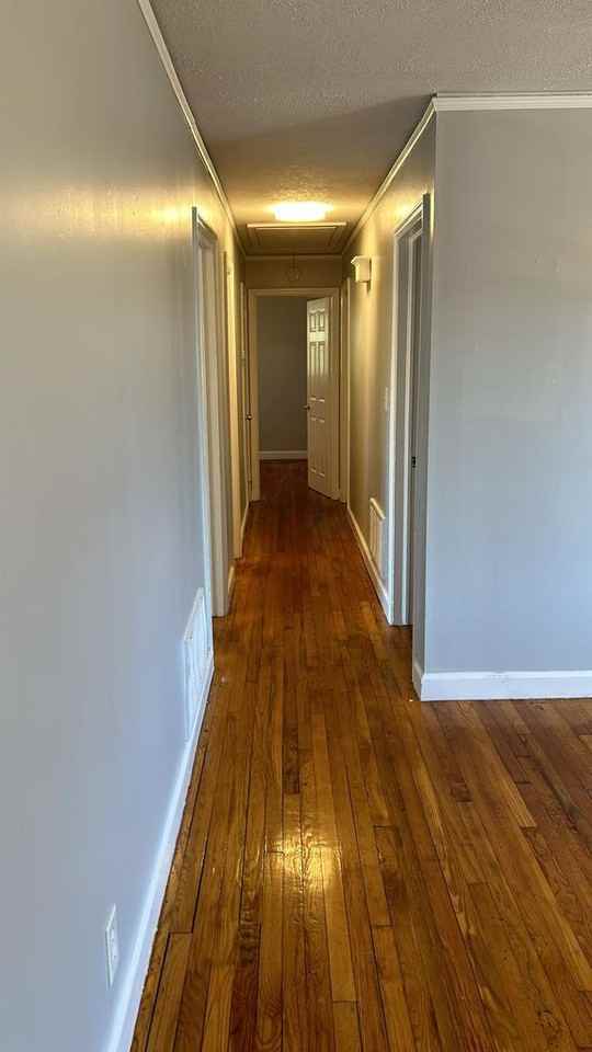 207 W Belvedere Rd - Photo 3 of 18