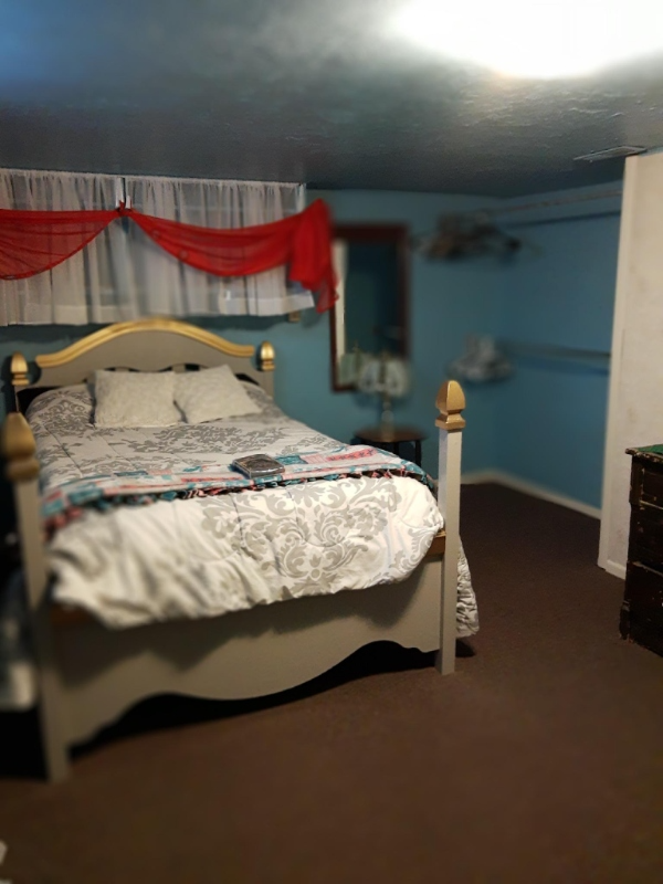 3773 S Grove St #BS - Photo 4 of 6