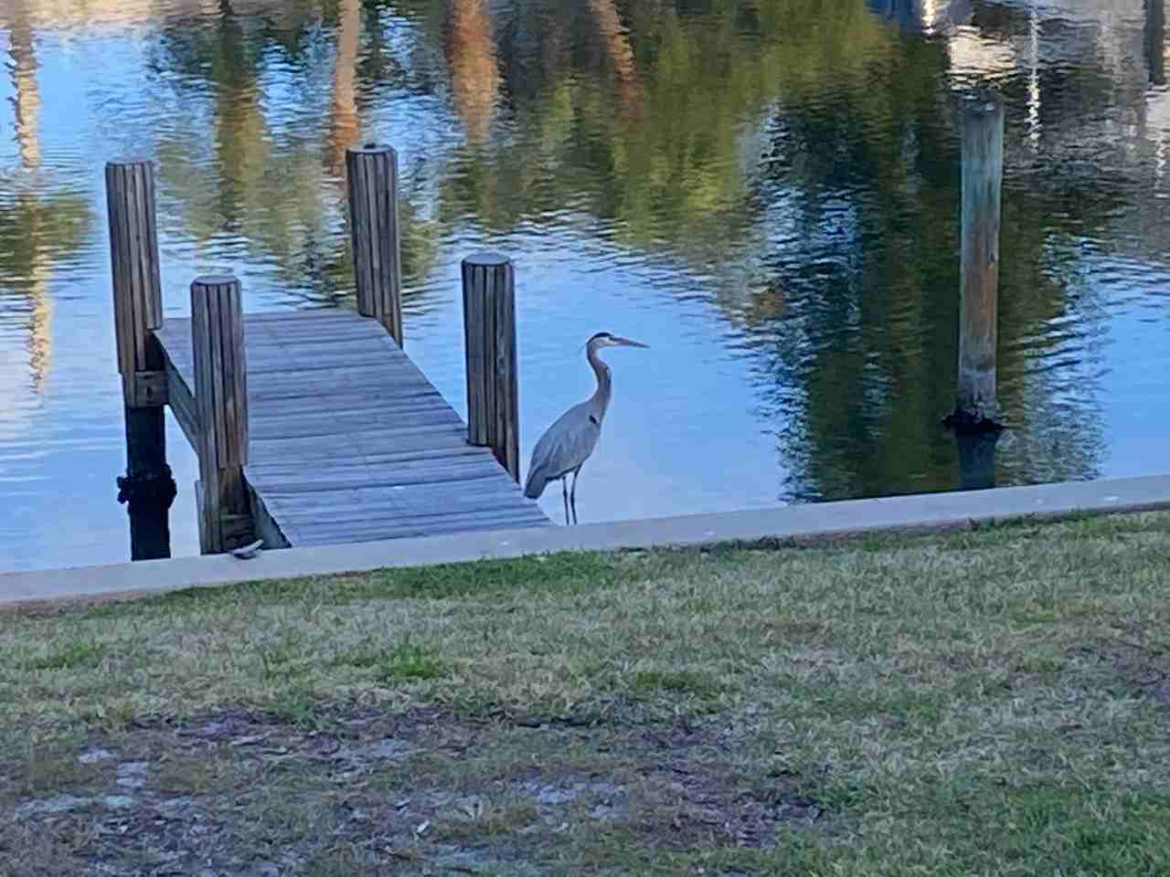 4838 Bethel Creek Dr #4838 - Photo 6 of 40
