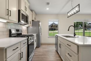 Maple Park at Riley Farm - Photo 1 of 1