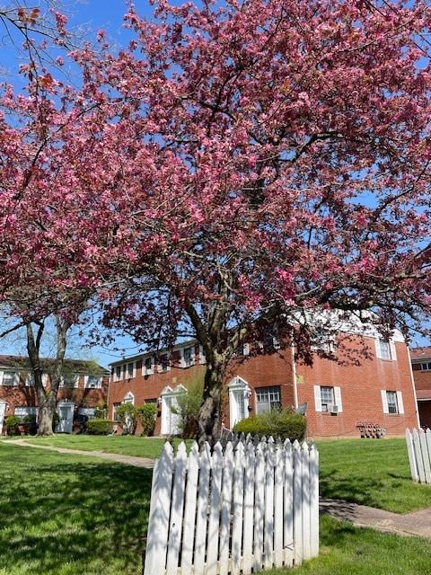 1161A Kelburn Rd #1161A - Photo 5 of 6