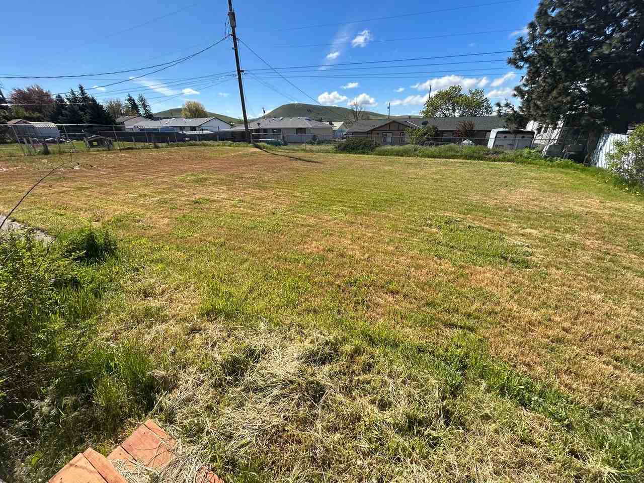 812 Elm Dr - Photo 3 of 15