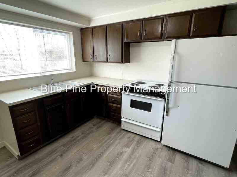 1151 E Cedar St #5 - Photo 7 of 14