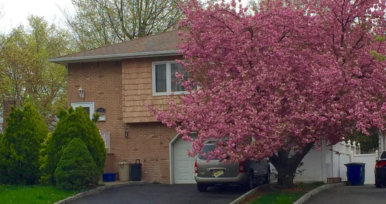 1115 Madison Ave #NA - Photo 3 of 25