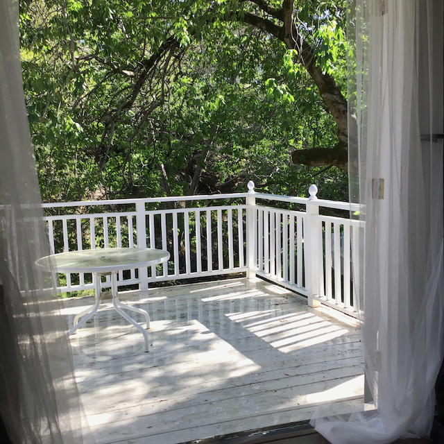 3467 Monroe Ave #B - Photo 3 of 10