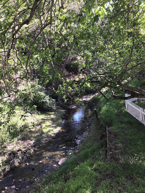 3467 Monroe Ave #B - Photo 4 of 10