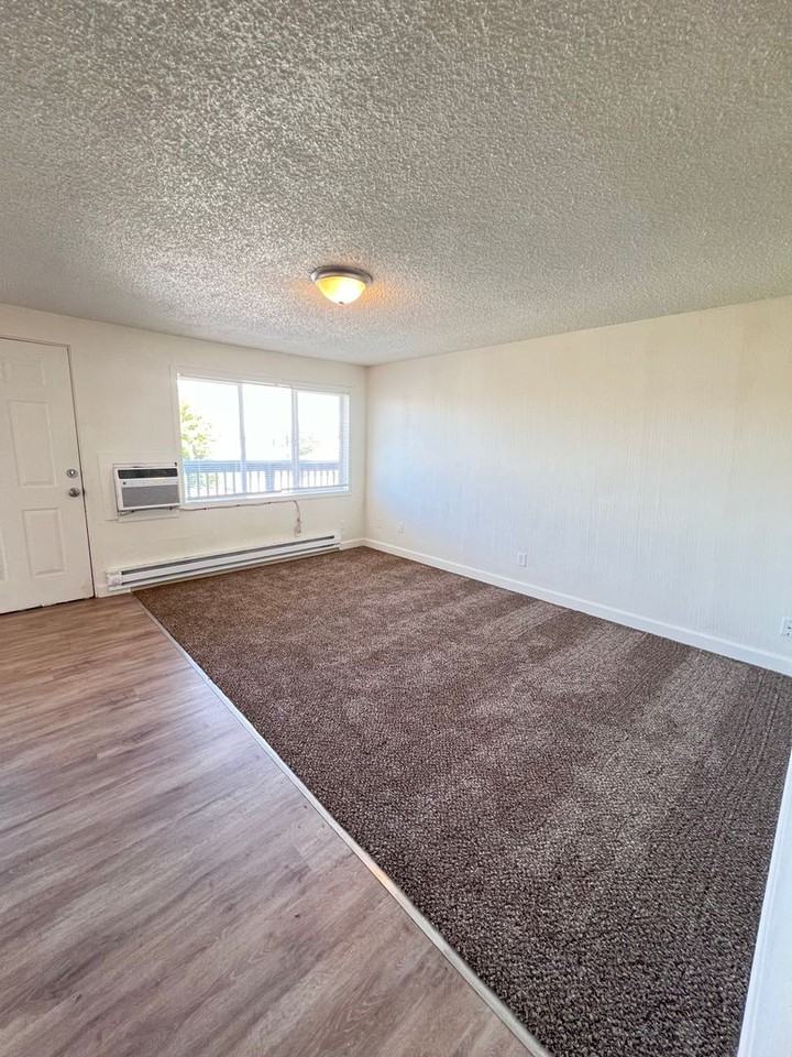 601 S Division St #14 - Photo 4 of 7