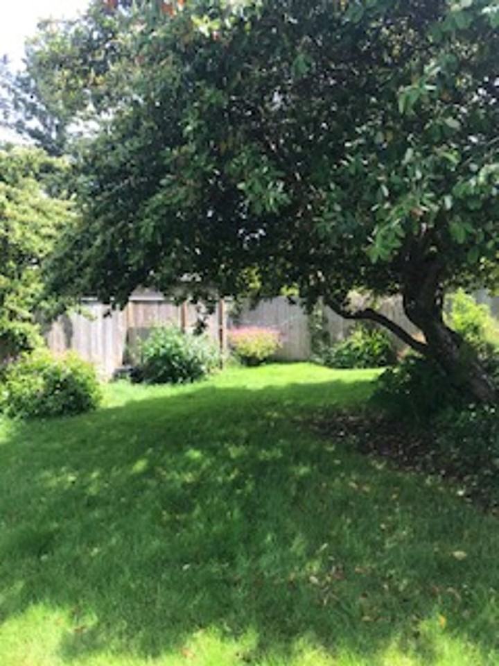 435 Parker Creek Dr - Photo 5 of 20