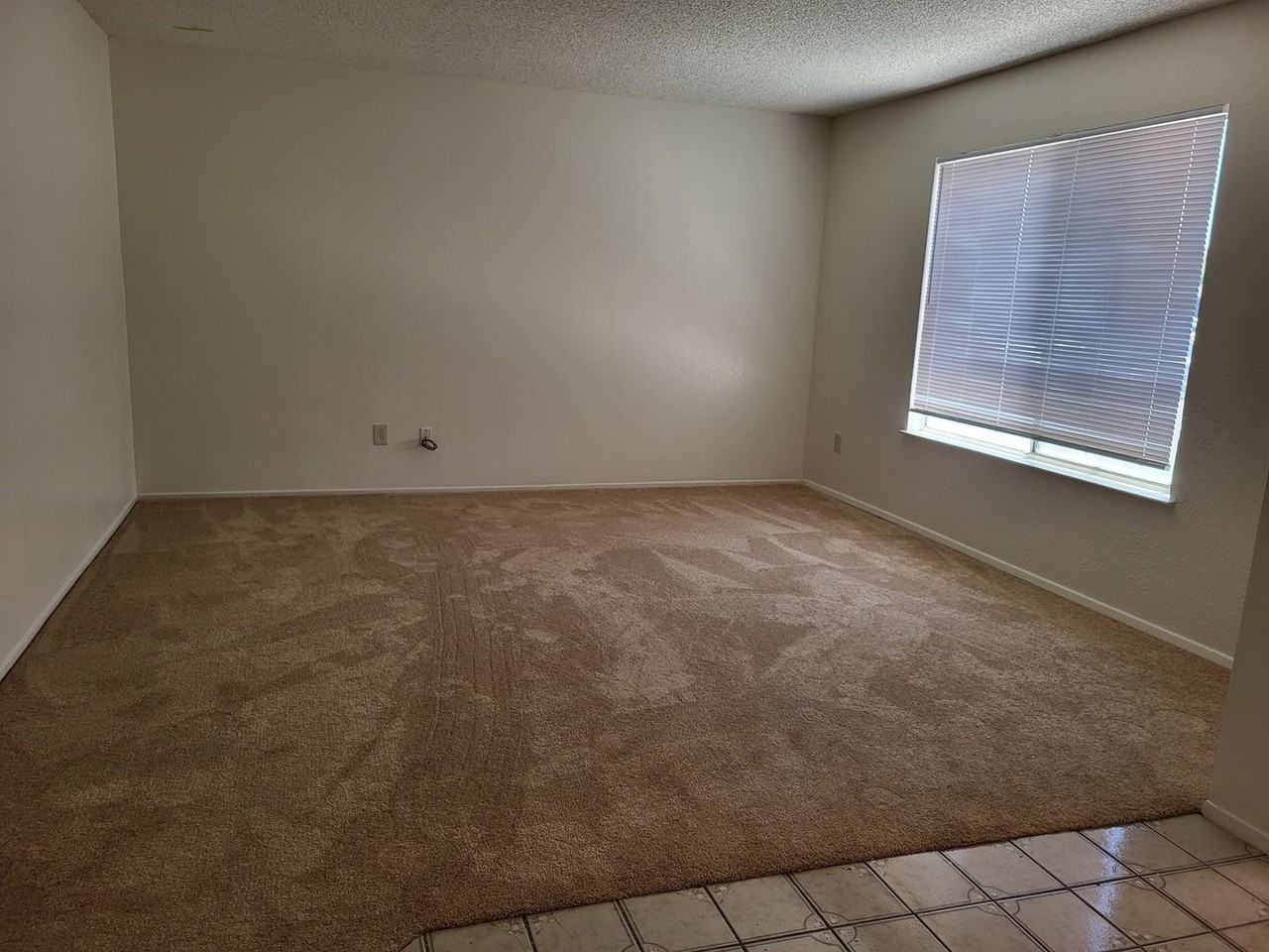 1801 Rhine Court - Photo 5 of 31