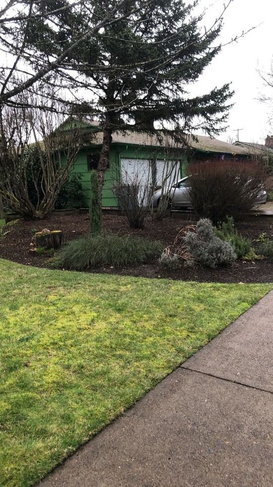 1445 Nw 11th St - Photo 3 of 29