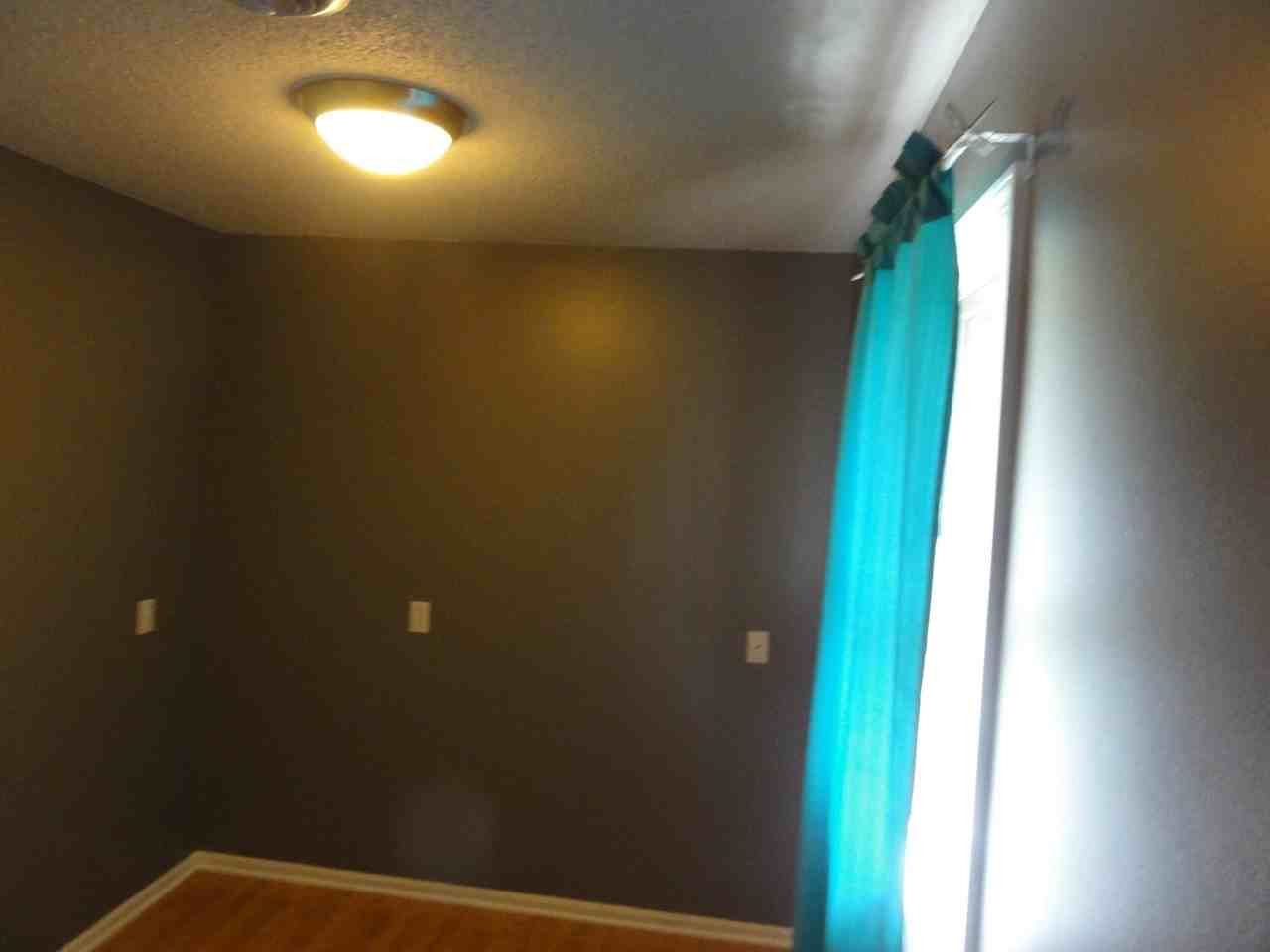 709 Wheatland Dr - Photo 7 of 17