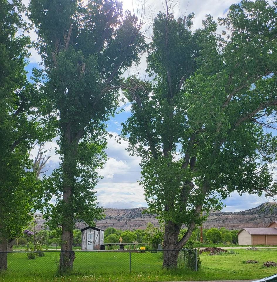 168 Blake St - Photo 2 of 12