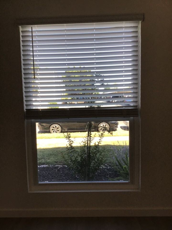 x BS1166 - Photo 3 of 12