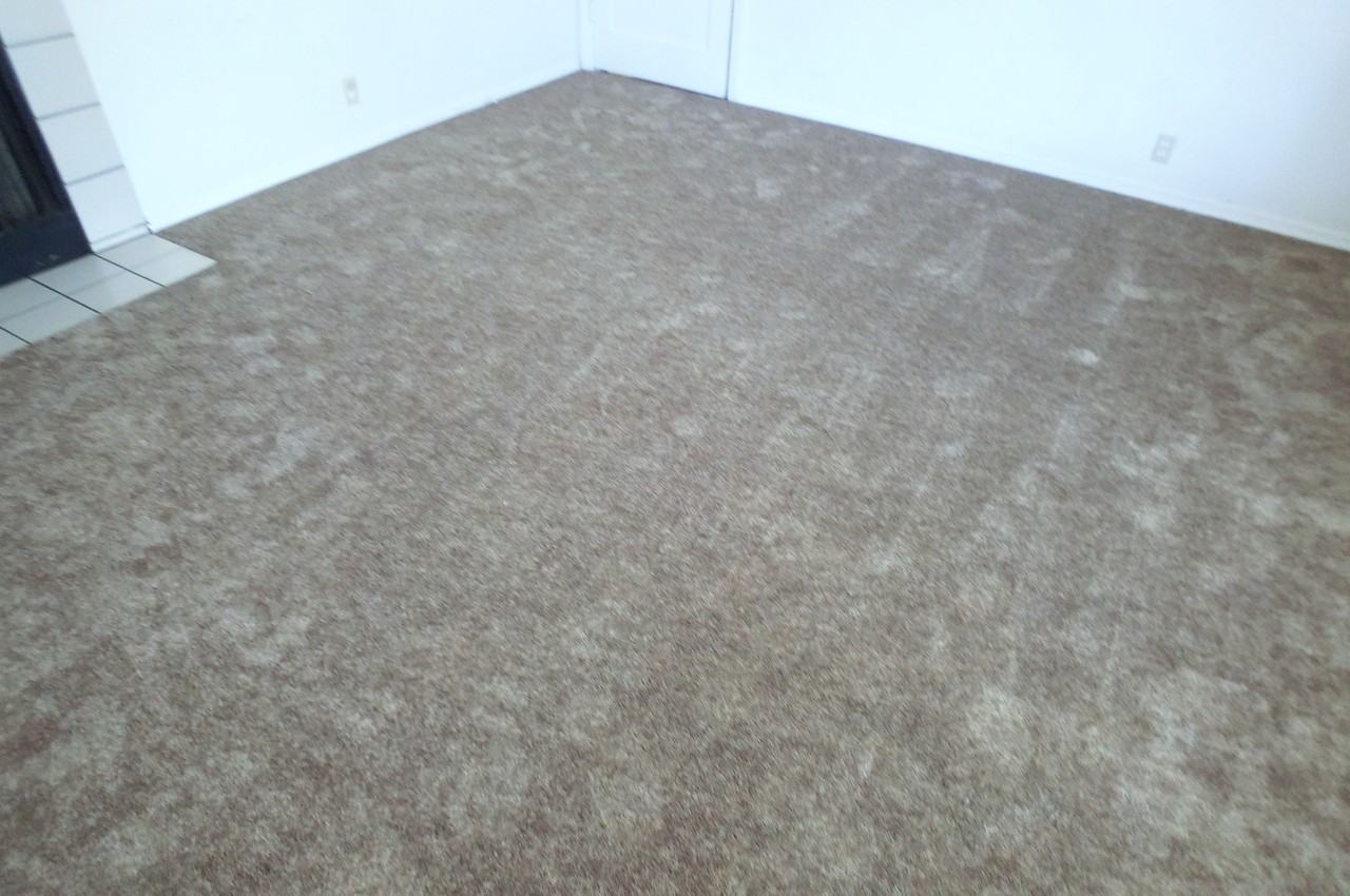 1912 Ne Fairview Ave - Photo 4 of 6