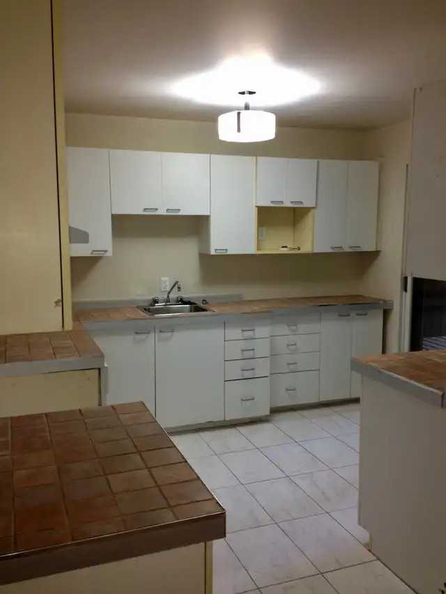 1480 Boul Pie-Ix - Photo 3 of 5