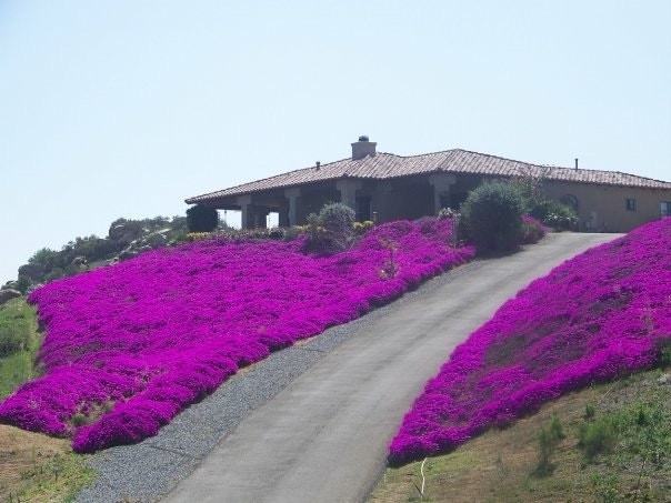 532 Canyon Rim Drive - Photo 2 of 43
