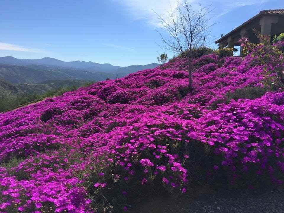 532 Canyon Rim Drive - Photo 3 of 43