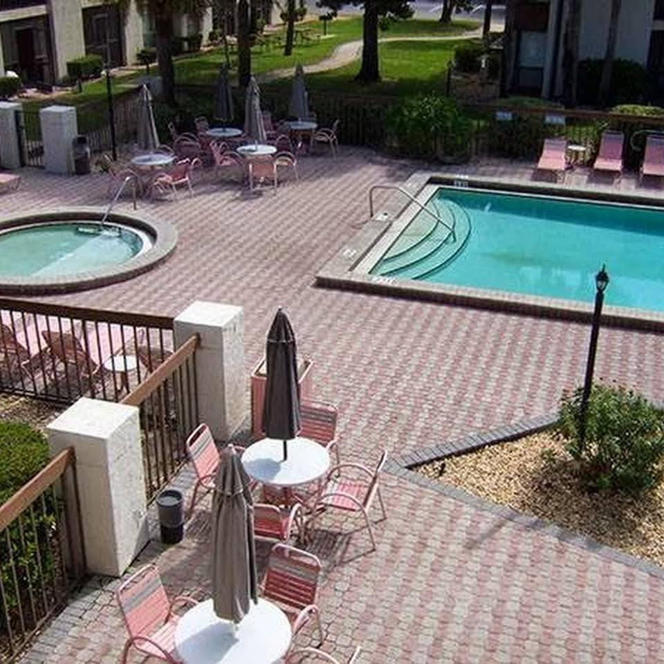 The Seasons - Photo 2 of 50