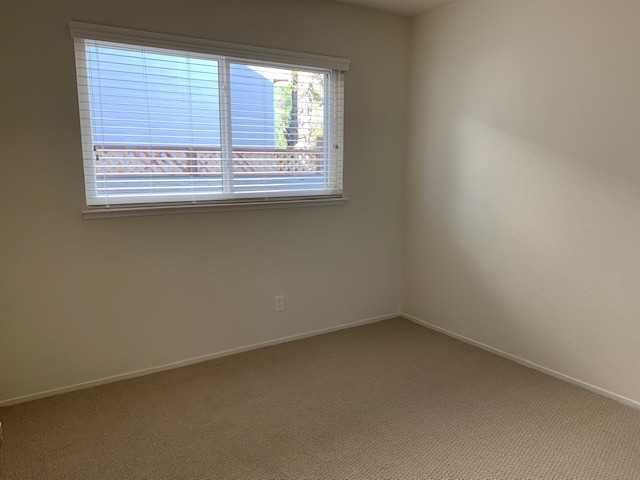 348 Port Royal Avenue - Photo 3 of 21