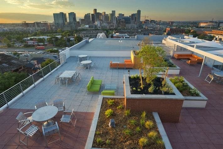 Line 28 at LoHi - Photo 3 of 50