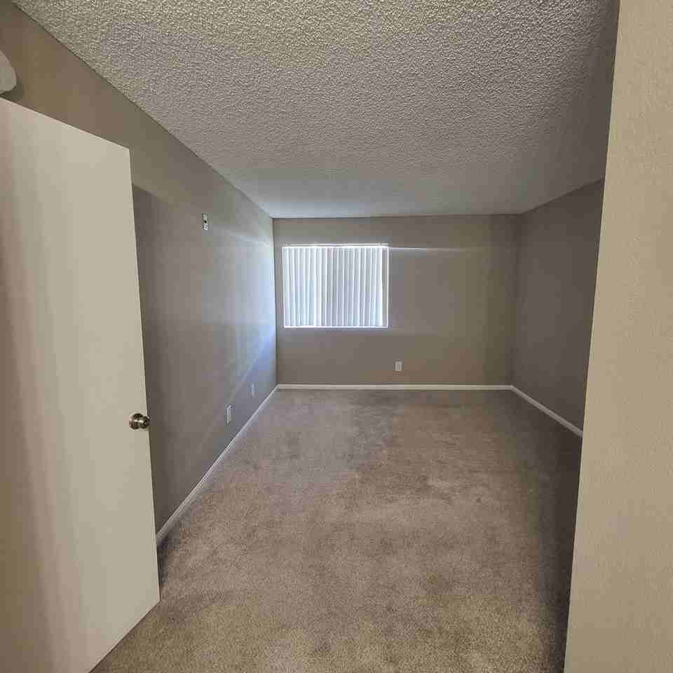 652 Moss St - Photo 6 of 34