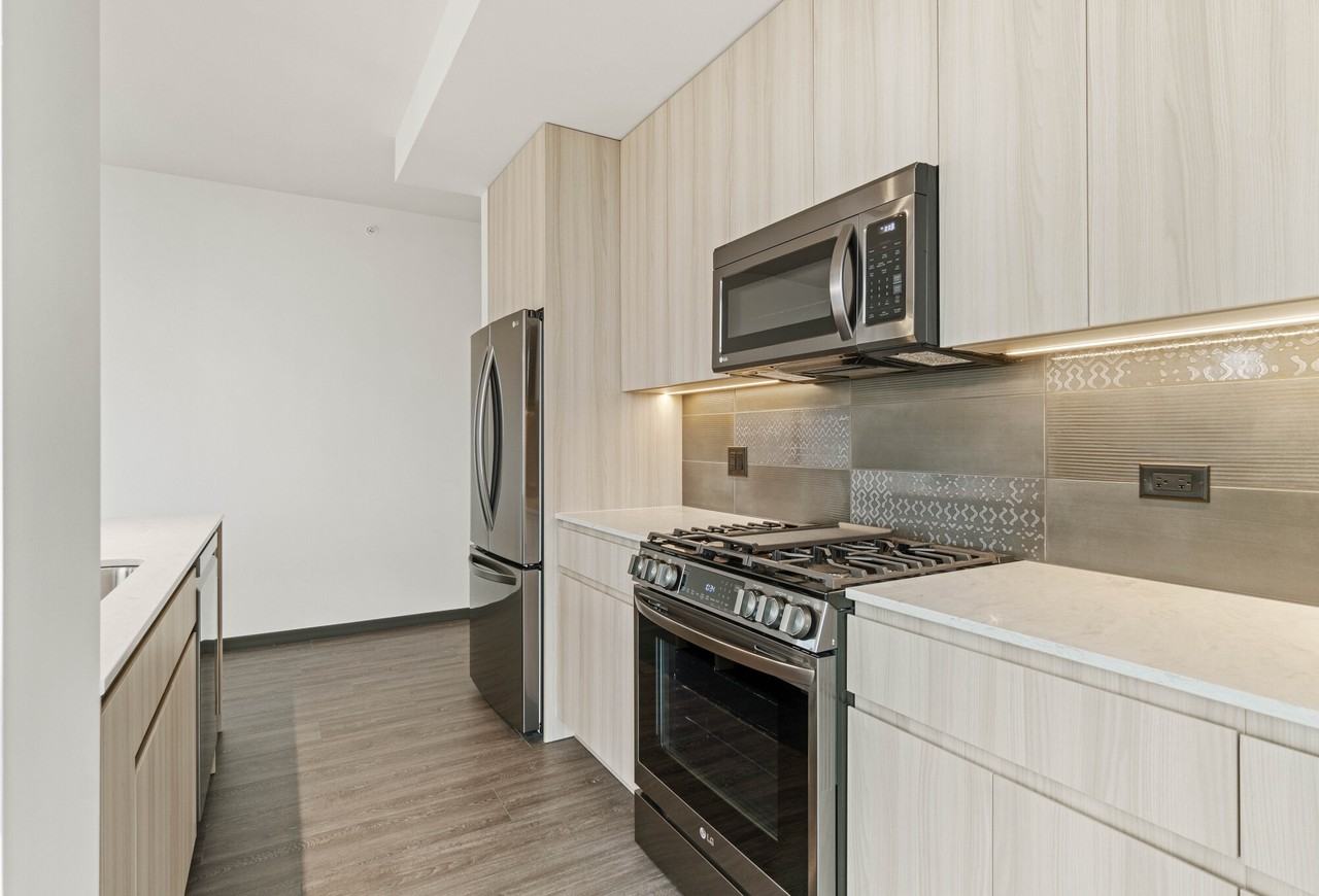 1400 West Randolph Street #3-2-5 - Photo 3 of 44