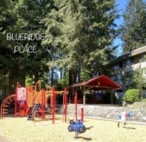 900 Berkley Rd - Photo 1 of 1