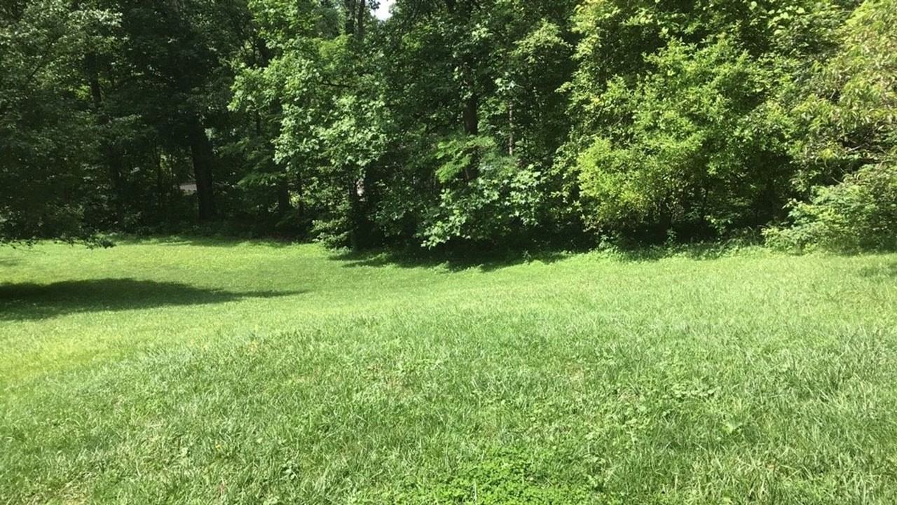 541 Will Isaacs Rd - Photo 6 of 20