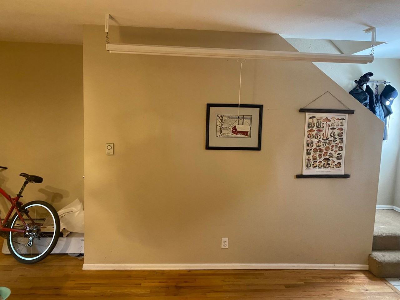 2429 Spruce St #3 - Photo 5 of 25