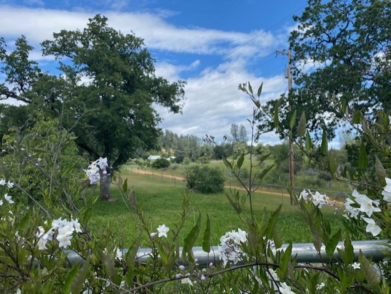 9481 Irish Creek Ln - Photo 2 of 15