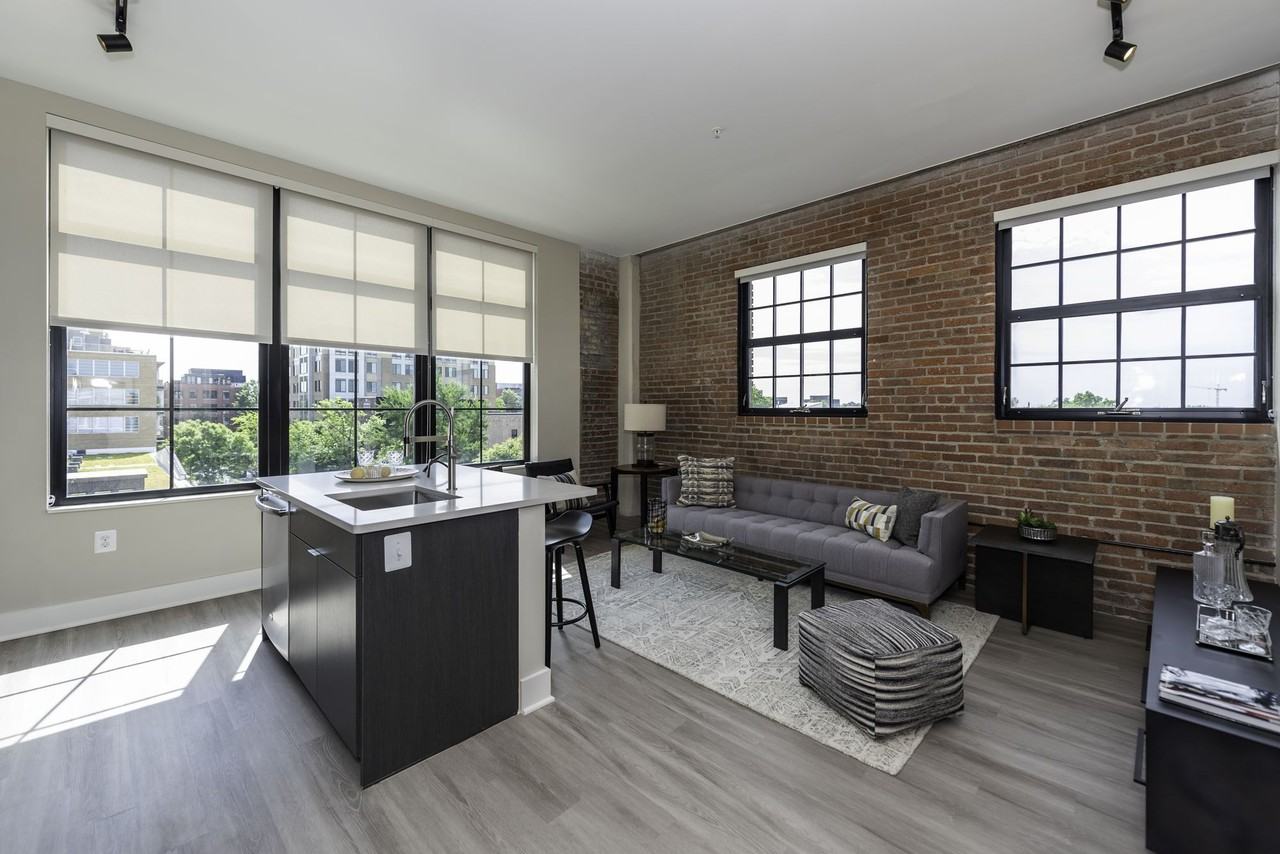 Arcade Sunshine - Photo 7 of 50