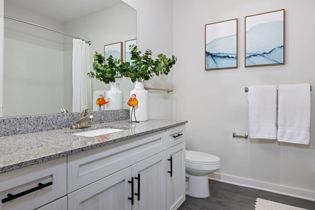 The Horizon at Springdale Park - Photo 7 of 50