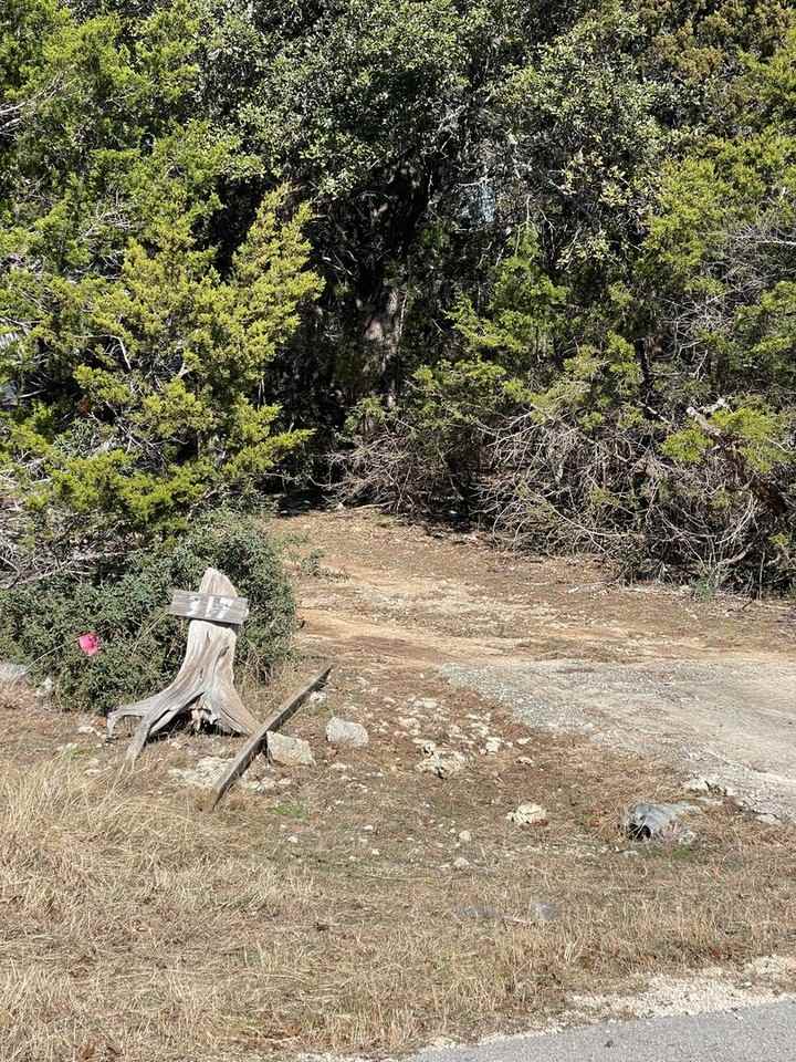 317 King William - Photo 5 of 29