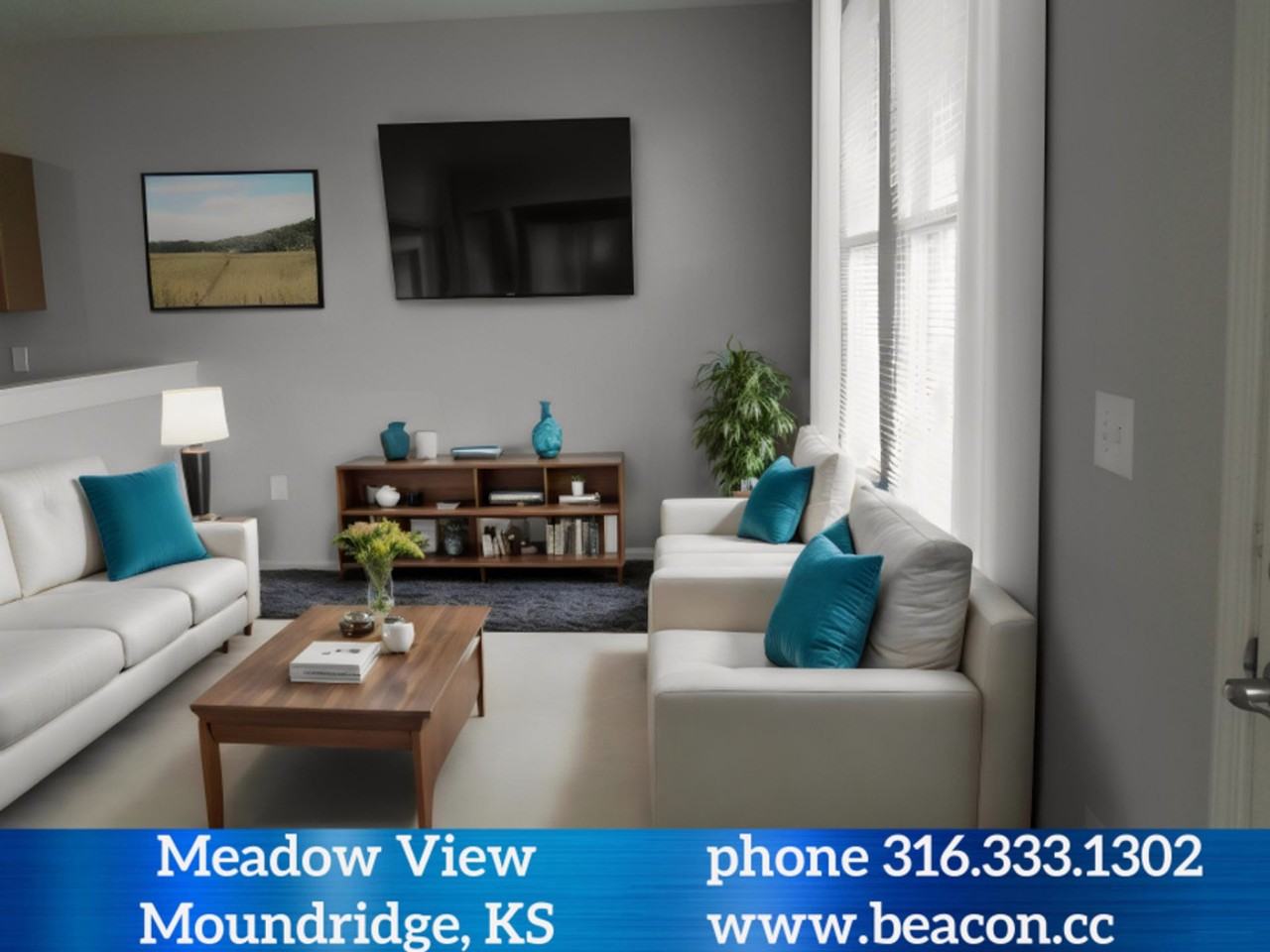 Meadow View MIH Townhomes - Photo 5 of 11