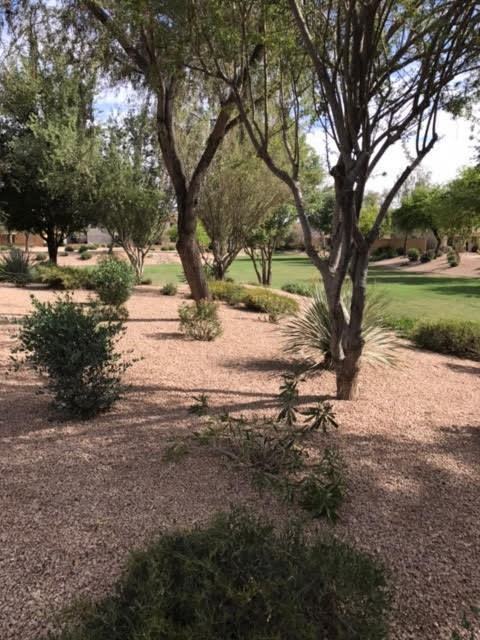 2348 E Meadow Lark Way - Photo 6 of 29