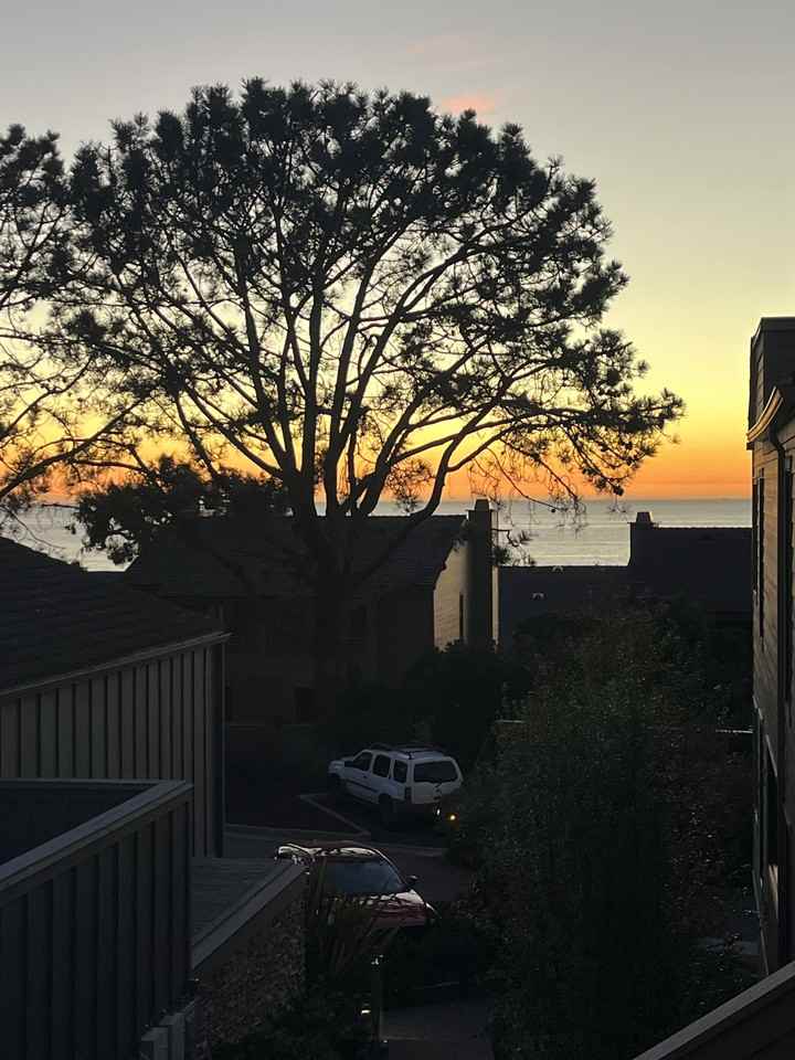 237 Sea Forest Ct - Photo 2 of 21