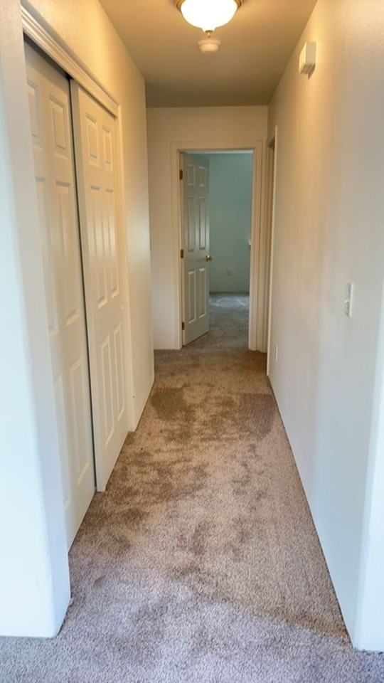 3015 Merriman Rd #5 - Photo 5 of 11