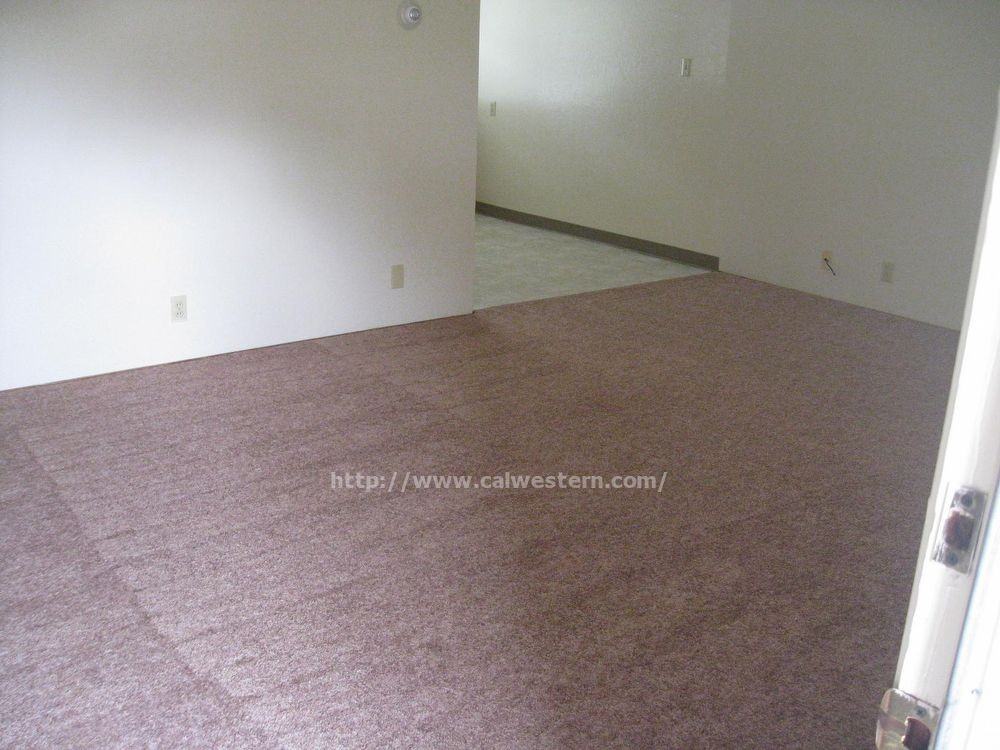 1551 Alta Glen Dr Apt 5 #5 - Photo 2 of 5